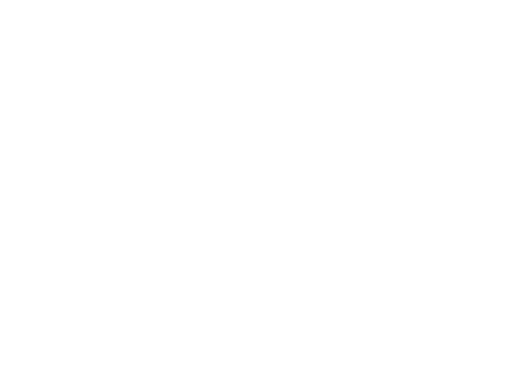 VVs